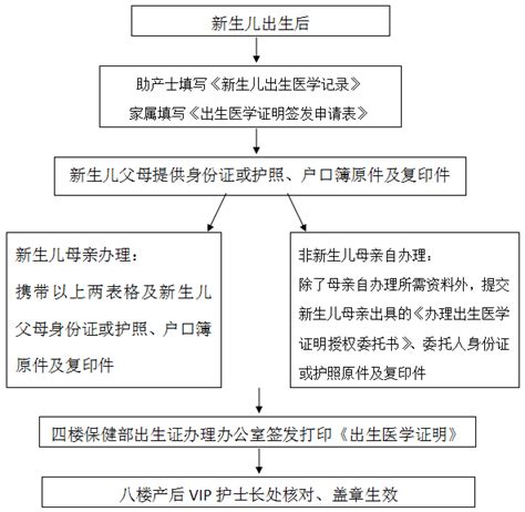 资阳区妇幼保健院《出生医学证明》 首次签发流程