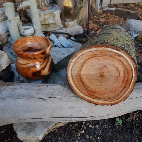 Chokecherry Bowl Aiki Woodworks