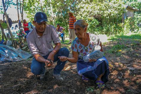 Fao El Salvador On Twitter Rt Centaelsalvador El Bokashi Es Un