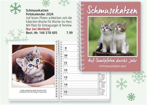 Schmusekatzen Fotokalender 2024 Angebot Bei Weltbild 1Prospekte De