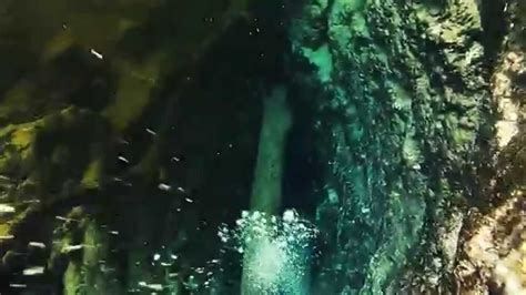 Ginnie Springs Devils Ear Cavern Dive Youtube