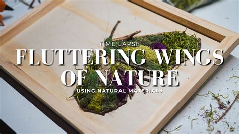 Wings Of Nature Time Lapse Process Youtube