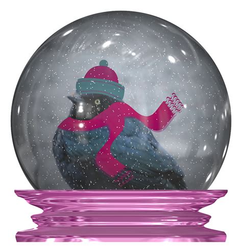 Snow Bird In Snow Globe Free Stock Photo Public Domain Pictures