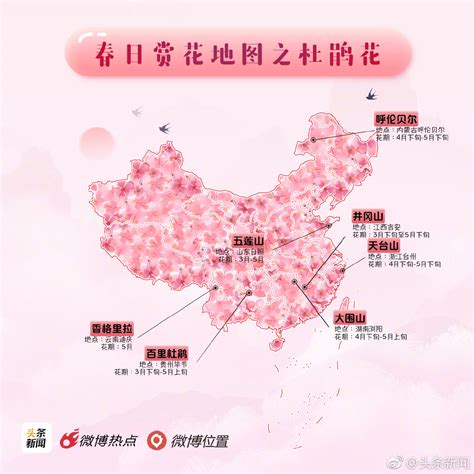 国内春日赏花地图，速速收藏打卡！ 旅行攻略 新湖南