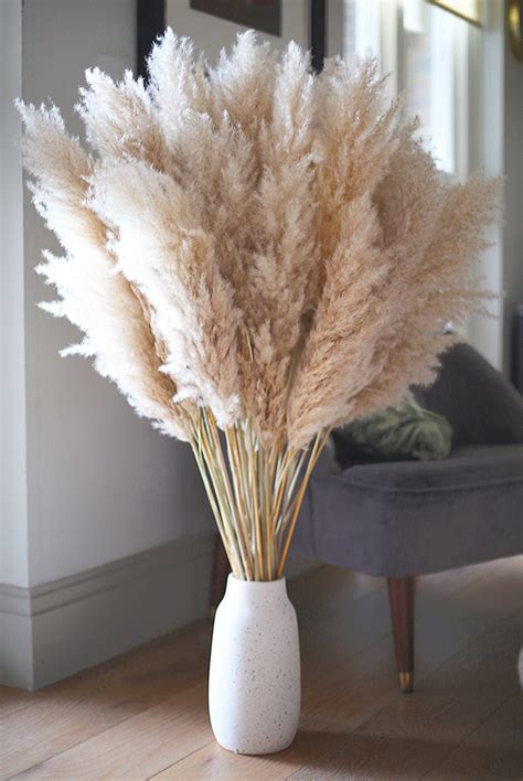 Tall Pampas Grass 110cm Fluffy Pampas Grass Birthday T Etsy