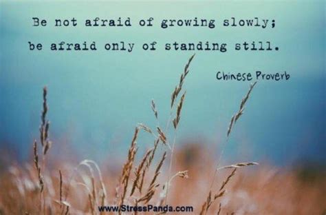 Growing slowly – Fabulous Quotes