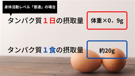 【タンパク質4】タンパク質不足の末路とは？！ 施設の最新情報や健康に関する記事を発信 大阪市での健康相談はdoctor`s