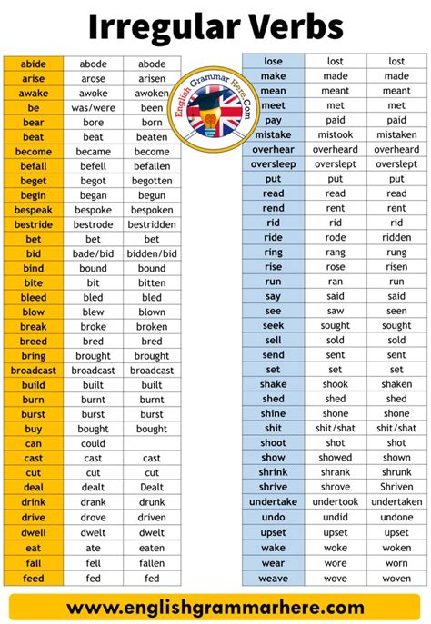 Permanently Irregular Words Examples