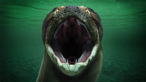 TITANOBOA A MAIOR COBRA DO MUNDO IMPRESSIONANTE YouTube