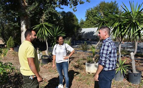 Alhaurín de la Torre creará un aula de la naturaleza en el vivero