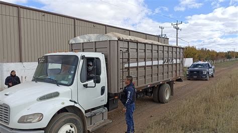 Producci N De Nuez Provoca Delincuencia Norte De Chihuahua