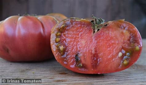 Dean S Black Draft Tomaten Samen Dunkel Tomaten Samen Irinas Tomaten