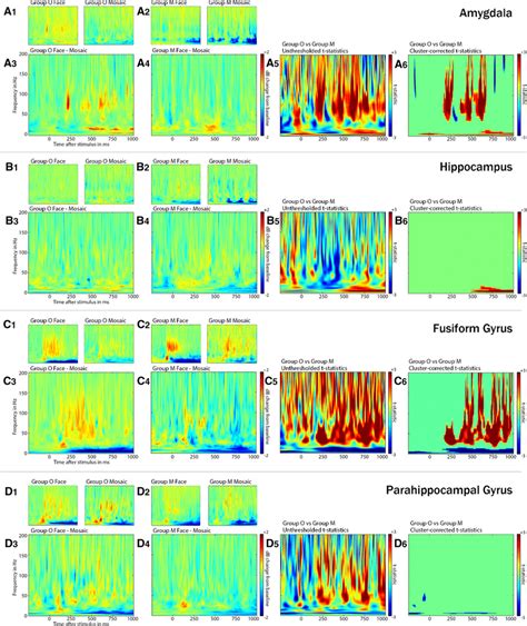 Gamma Frequency Analysis A1 D1 A2 D2 Power Map In Response To Faces Download Scientific