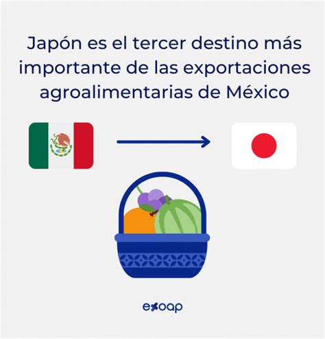 9 productos Mexicanos para Exportar a Japón