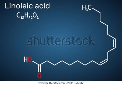 Linoleic Acid La Molecule Omega Polyunsaturated Stock Vector Royalty