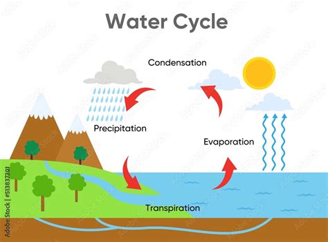 water cycle diagram with rainfall and ocean, vector design illustration ...