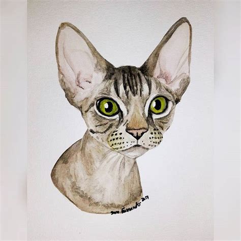 Portrait Of Sonic The Devon Rex Draw Sketch Sketching Drawing Art