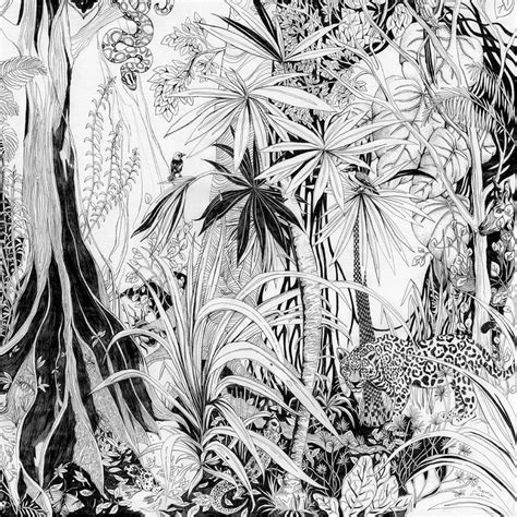 Jungle Drawing Fine Art Print Tropical Decor Rainforest Illustration