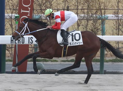 【京都4r3歳新馬】ジャスティファイ産駒 ダノンケイツーがデビュー勝ち 競馬ニュースなら競馬のおはなし