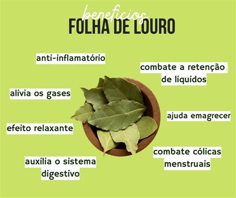 Folha De Louro Serve Para Que Descubra Seus Benef Cios E Como Consumi