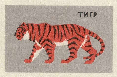 Russian Matchbox Label Matchbox Art Tiger Illustration Matchbox