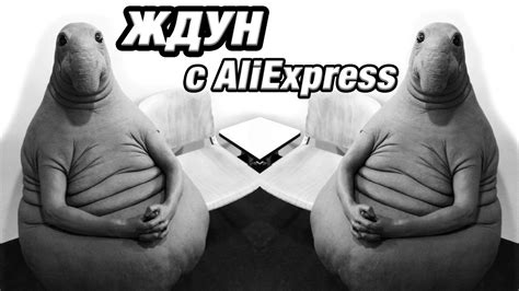 ЖДУН с AliExpress! - YouTube