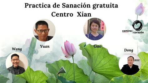 Sesion De Sanacion Con Los Maestros De Xian Zhineng Qigong Youtube