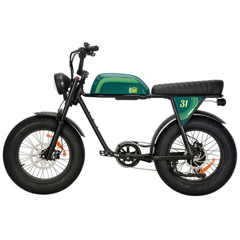 Ebike with 48V 20ah Lithium Battery Electric Battery with Long Seat for ...