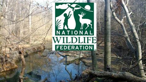 National Wildlife Federation Launches Online Community to Connect Kids ...