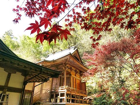 三次市の太歳神社の禰宜 ねぎ On Twitter 年始の大雪で破損していた 太歳神社 本殿の屋根ですが この度 三次町の藤田板金工業