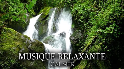 Musique Zen Nature Relaxation Pour se Détendre Méditation pour