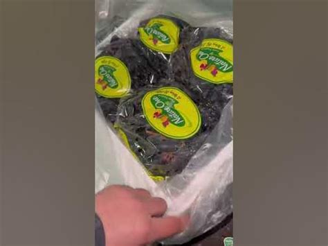 Индийский виноград - YouTube
