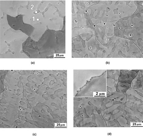 Sem Bse Images Of The Microstructure Of The Cocr Fenimn High