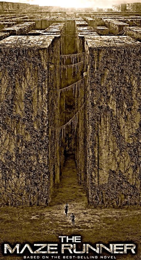 cult film freak review   maze runner