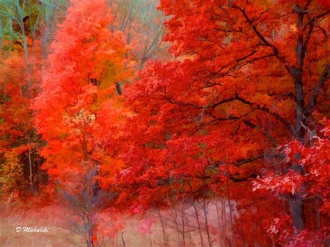 Vibrant Autumn Bliss HD Wallpaper