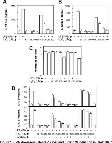 Figure 1 From Calmodulin Protein Inhibiting C Rel Translocation To The