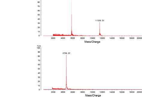 MALDI TOF MS Spectra Of Two Purified Candidate Protein Markers