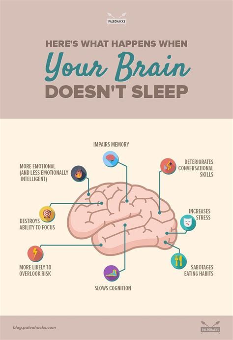 Sleep Deprivation Effects On The Brain