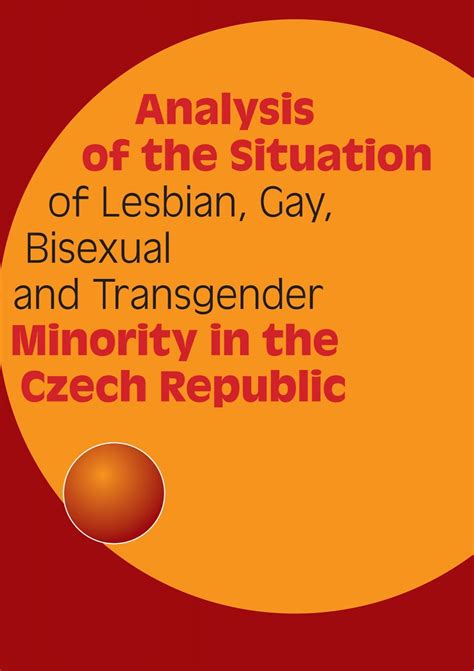 Analysis Of The Situation Of Lesbian Gay Bisexual And Transgender
