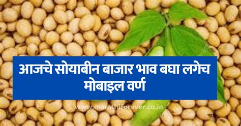 Soybean Rate Todays आजचे सोयाबीन बाजार भाव बघा लगेच मोबाइल वर्ण Latest Marathi News