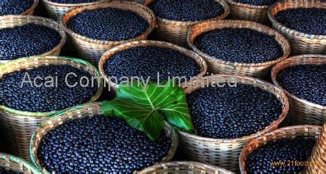 Natural Acai Berry Powder Wholesaledenmark Acai Berry Price Supplier