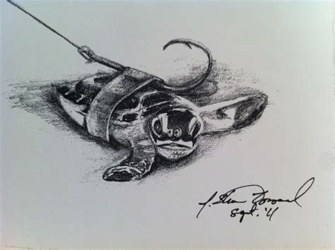 Baby Sea Turtle Drawing At Explore Collection Of