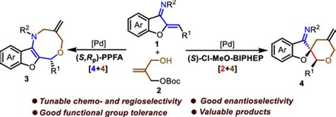 Ligand Controlled Palladium Catalyzed Asymmetric 4 4 And 2 4