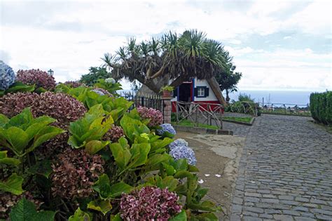 Madeira Architecture Stock Photo - Download Image Now - Architecture ...