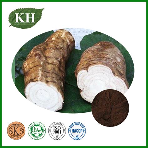 Tcm Kudzu Root Extract 15 98 Puerarin China Kudzu Root Extract