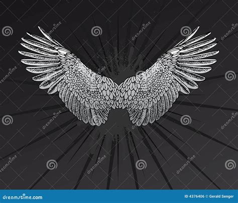 Star Wings Stock Vector Illustration Of Prey Ornate 4376406