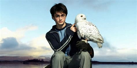 6 Harry Potter Book To Movie Changes The Tv Remake Actually Needs To Keep