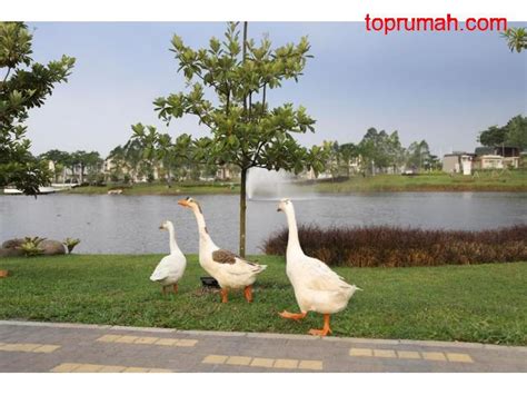 Cluster View Danau Mozart Symphonia Summarecon Gading Serpong Tipe