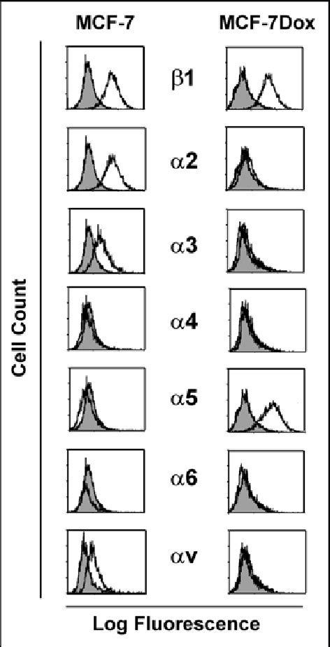 Integrin Expression Profiles Of Breast Carcinoma Cells MCF 7 And