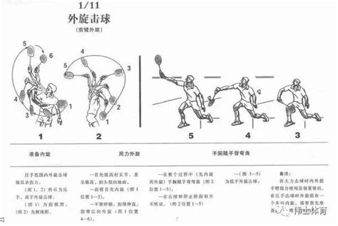 羽毛球正确的击球姿势（图解）【伟士羽课】 搜狐体育